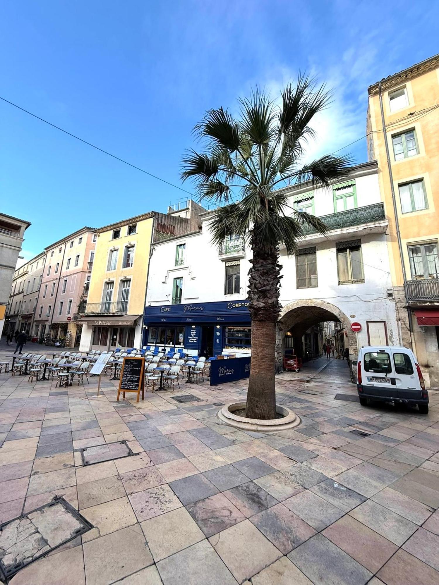 El Carmen 60m2 - Centre Gare Tgv - Wifi Nimes